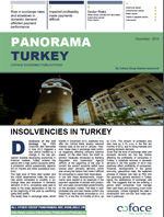 Panorama Coface Turquie, les délais de paiement se ralongent