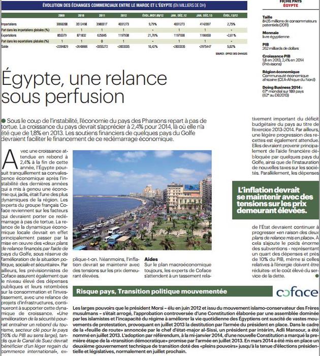Cahier Afrique, Coface Expert evaluation risque pays focus Egypte