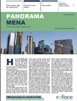Panorama Coface focus MENA et Afrique du Nord